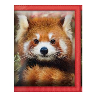 Obrázek z Peněženka 3D - panda červená mládě (5) 